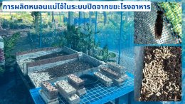 บีแอลซีพี เพาเวอร์ จำกัด