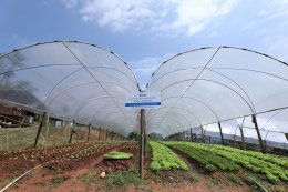 ปตท. น้ำมันและการค้าปลีก จำกัด (มหาชน)