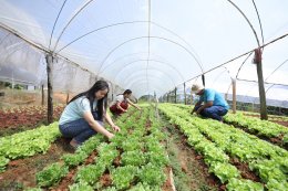 ปตท. น้ำมันและการค้าปลีก จำกัด (มหาชน)