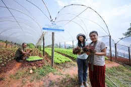 ปตท. น้ำมันและการค้าปลีก จำกัด (มหาชน)