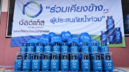 บริษัท ดับบลิวพี เอ็นเนอร์ยี่ จำกัด (มหาชน)