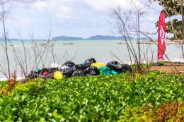 ดาว ประเทศไทย