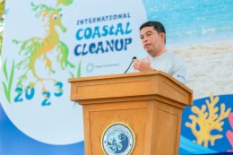 ดาว ประเทศไทย