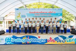 ดาว ประเทศไทย