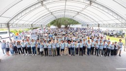 ดาว ประเทศไทย