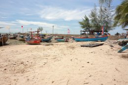 ดาว ประเทศไทย