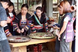 บริษัท บ้านปู จำกัด (มหาชน)