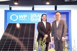 บริษัท ดับบลิวพี เอ็นเนอร์ยี่ จำกัด (มหาชน)