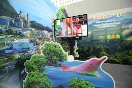 บริษัท ผลิตไฟฟ้า จำกัด (มหาชน)