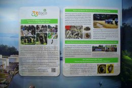 บริษัท ผลิตไฟฟ้า จำกัด (มหาชน)