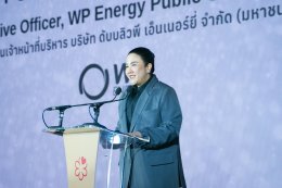 บริษัท ดับบลิวพี เอ็นเนอร์ยี่ จำกัด (มหาชน)