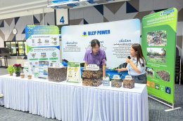 บริษัท บีแอลซีพี เพาเวอร์ จำกัด