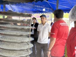 บริษัท บ้านปู จำกัด (มหาชน)