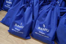 บริษัท บ้านปู จำกัด (มหาชน)