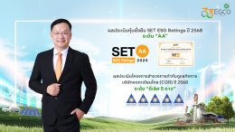 บริษัท ผลิตไฟฟ้า จำกัด (มหาชน)
