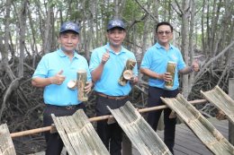 พีทีที โกลบอล เคมิคอล จำกัด (มหาชน)