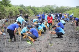 พีทีที โกลบอล เคมิคอล จำกัด (มหาชน)