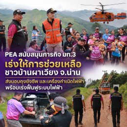 การไฟฟ้าส่วนภูมิภาค