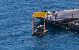 บริษัท ปตท. สำรวจและผลิตปิโตรเลียม จำกัด (มหาชน)