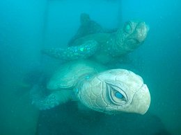 บริษัท ปตท. สำรวจและผลิตปิโตรเลียม จำกัด (มหาชน)