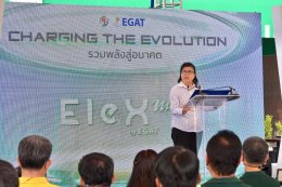 การไฟฟ้าฝ่ายผลิตแห่งประเทศไทย , พีทีจี เอ็นเนอยี จำกัด (มหาชน)