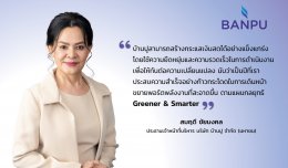 บ้านปู จำกัด (มหาชน)
