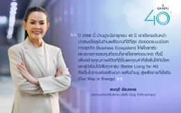 บ้านปู จำกัด (มหาชน)
