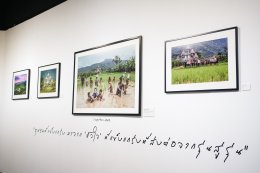 บ้านปู จำกัด (มหาชน)