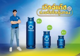 ดับบลิวพี เอ็นเนอร์ยี่ จำกัด (มหาชน)