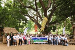 ดับบลิวพี เอ็นเนอร์ยี่ จำกัด (มหาชน)