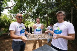 ดับบลิวพี เอ็นเนอร์ยี่ จำกัด (มหาชน)