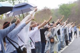 ดับบลิวพี เอ็นเนอร์ยี่ จำกัด (มหาชน)