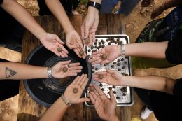 ดับบลิวพี เอ็นเนอร์ยี่ จำกัด (มหาชน)