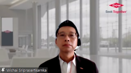 ดาว ประเทศไทย