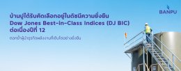 บริษัท บ้านปู จำกัด (มหาชน)