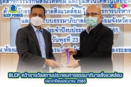 บีแอลซีพี เพาเวอร์ จำกัด