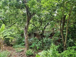 หน่วยบริหารและจัดการทุนด้านการเพิ่มความสามารถในการแข่งขันของประเทศ