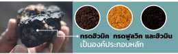 การไฟฟ้าฝ่ายผลิตแห่งประเทศไทย