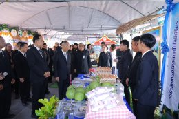 การไฟฟ้าฝ่ายผลิตแห่งประเทศไทย