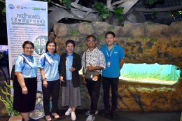 บางจาก คอร์ปอเรชั่น จำกัด (มหาชน)