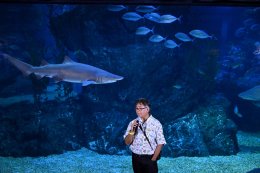 บางจาก คอร์ปอเรชั่น จำกัด (มหาชน)