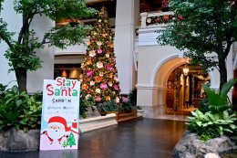 บางจาก คอร์ปอเรชั่น จำกัด (มหาชน)