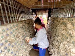 ไออาร์พีซี จำกัด (มหาชน)