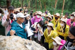 บ้านปู จำกัด (มหาชน)