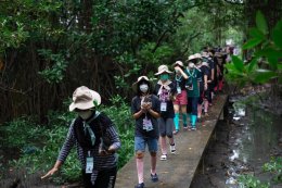 บ้านปู จำกัด (มหาชน)