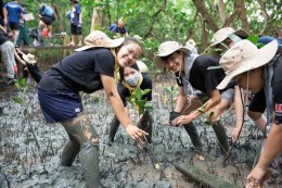 บ้านปู จำกัด (มหาชน)