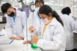 บ้านปู จำกัด (มหาชน)