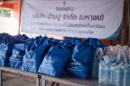 บ้านปู จำกัด (มหาชน)