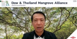 ดาว ประเทศไทย