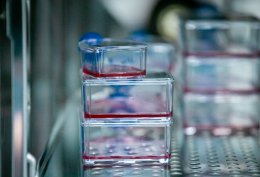 ปตท. จำกัด (มหาชน)